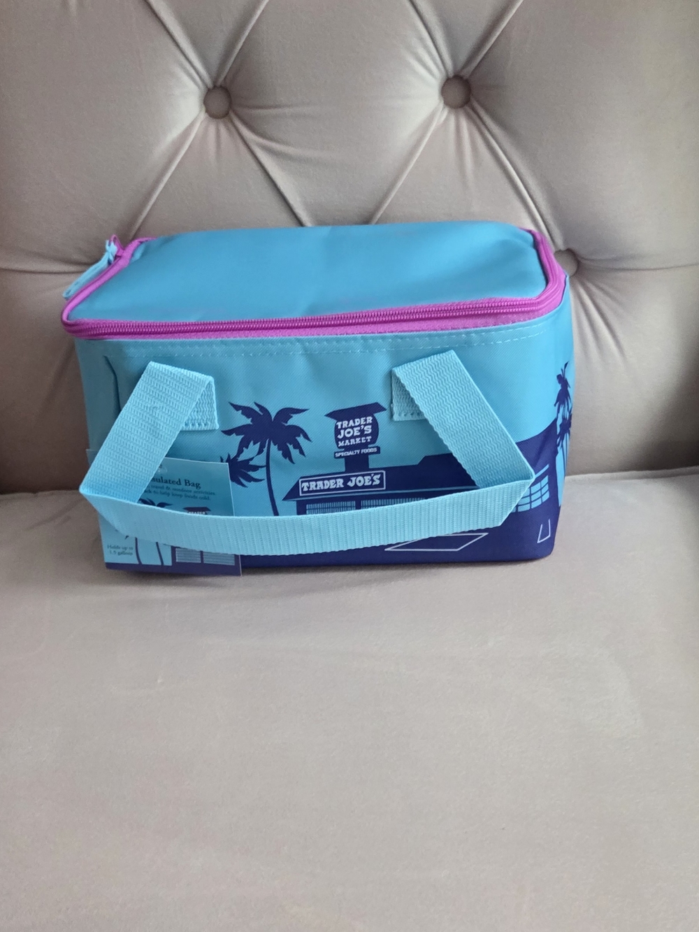 Trader Joe's Aqua & Purple Insulated Garment Storage Bag